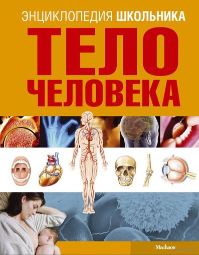Тело человека. Адольфо Тачлицки. Энциклопедия школьника ///