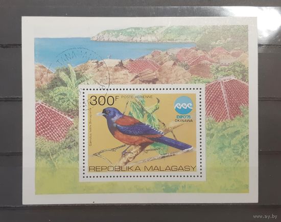 Мадагаскар. 1975 год. Фауна. Птица (блок)