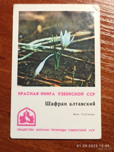 Календарик Красная книга 1982 Шафран алтавский