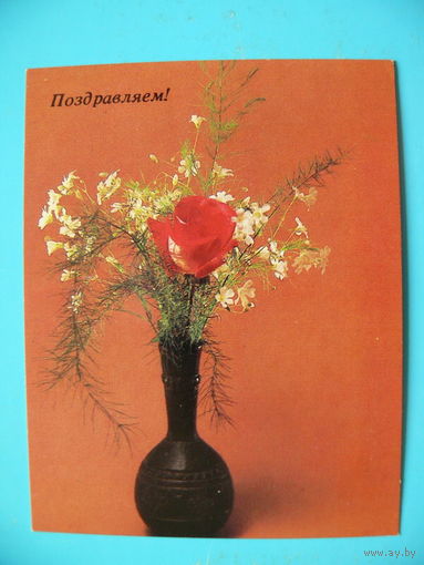 Савалова Е., Поздравляем! 1988, чистая, мини-формат.
