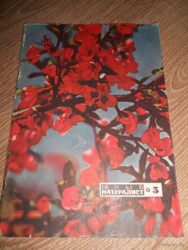 Юный натуралист 5/1972