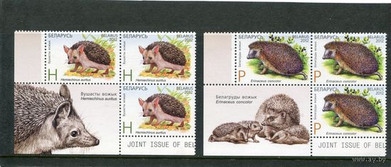 Беларусь 2012. Фауна. Ежи. Квартблок с купоном