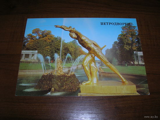 Петродворец Боец Бергезе 1987 год чистая