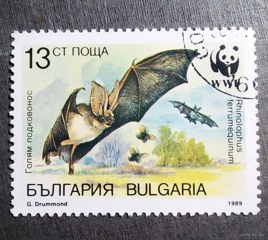 Марка Болгария 1989 год Летучая мышь