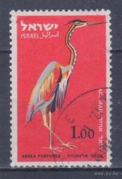 [2076] Израиль 1963. Фауна.Птицы.Цапля. Гашеная марка.