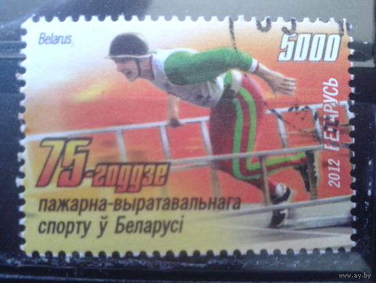 2012 Чемпионат по пожарному спорту