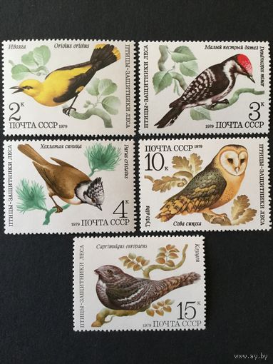 Птицы-защитники леса. СССР, 1979, серия 5 марок
