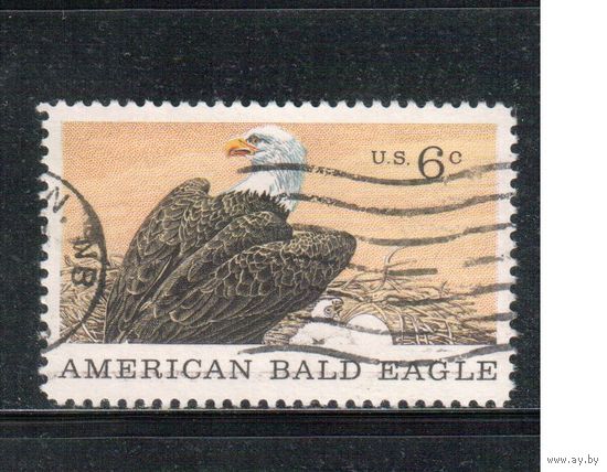 США-1970, (Мих.999) , гаш. , Фауна, Орел