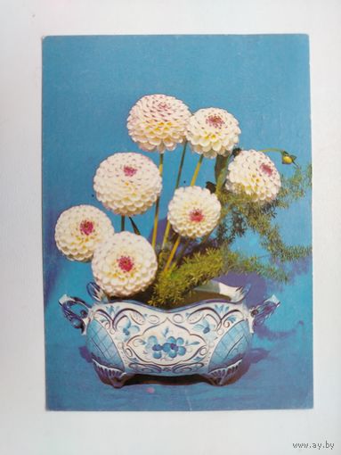 Цветы. Чистая. 1992 года. Суханова. 2605.