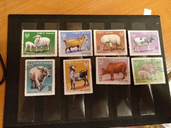 Вьетнам фауна домашние животные (4-15)