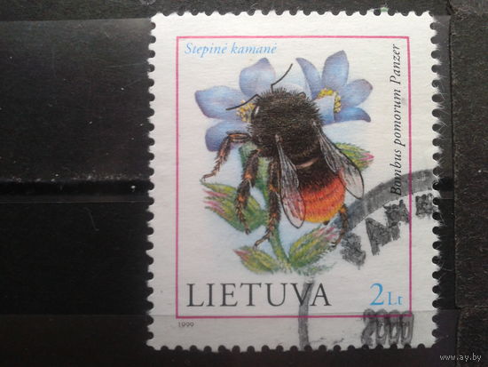 Литва 1999 Шмель, концевая Михель-2,0 евро гаш