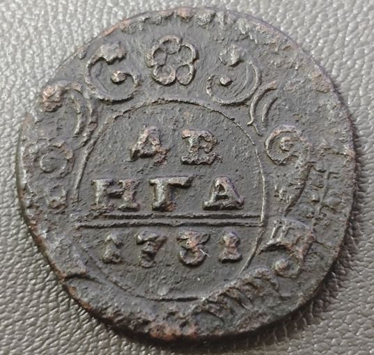 Денга 1731 года. Из альбома