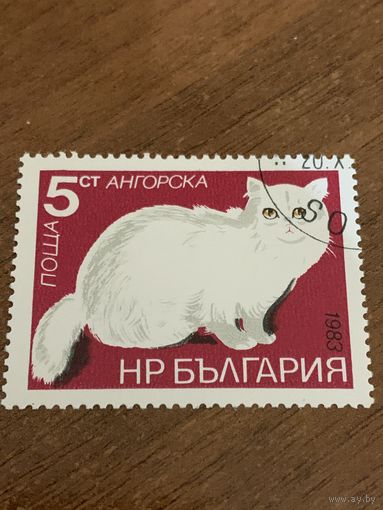 Болгария 1983. Породы кошек. Ангорская. Марка из серии