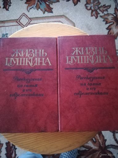 Жизнь Пушкина в 2т.