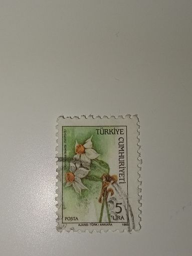 Турция 1990г. "Нарцисс букетный"