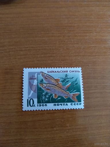 1966 СССР фауна рыбы (сф2-4)