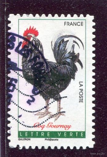 Франция. Петуз
