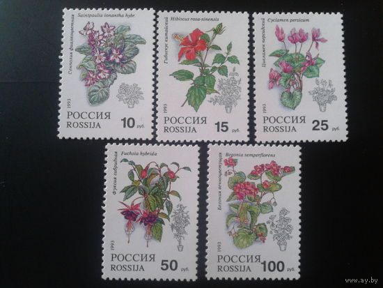 Россия 1993 комнатные растения** полная серия Mi-4,5 евро