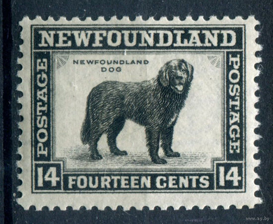 Британские колонии - Ньюфаундленд - 1932/41г. - ньюфаундленд, перфорация 12 1/2, 14 с - 1 марка - MNH, на клее есть несколько небольших полосок-трещинок [Mi 179 C]. #3-WB-96-A-1