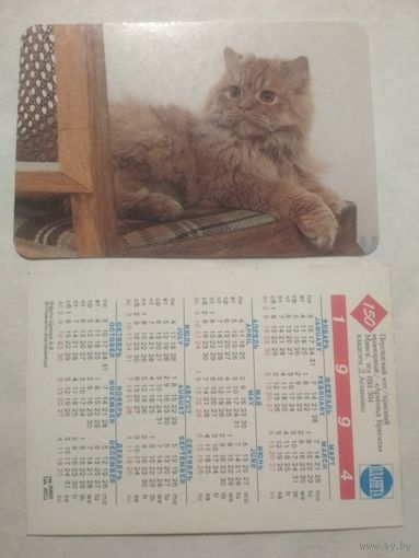 Карманный календарик. Котик.1994 год