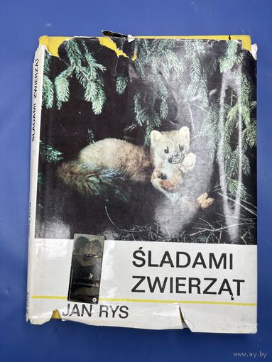 В следах животных на польском языке