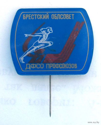 Брестский облсовет ДФСО профсоюзов