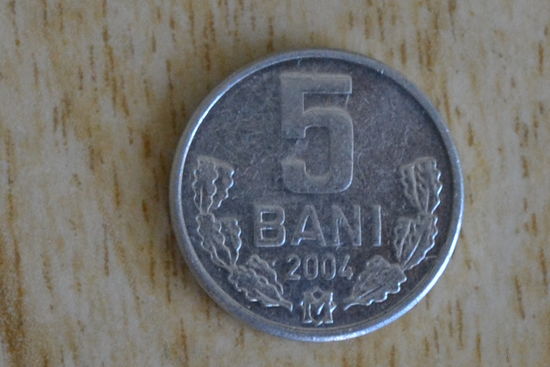 Молдова 5 бани 2004