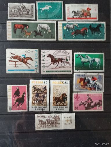 Польша. Лошади.  Сборный лот.
