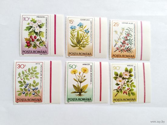 Румыния  1993  6 м цветы