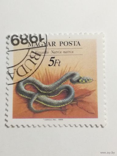 Венгрия 1989. Фауна. Рептилии