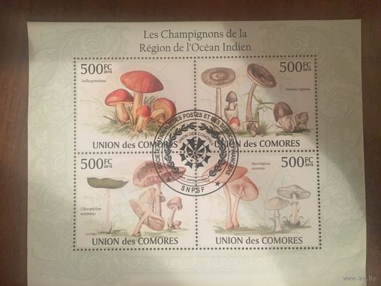 Коморские острова 2010. Грибы (блок)