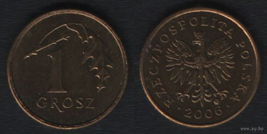 Польша y276 1 грош 2006 год (mw) (_alb2