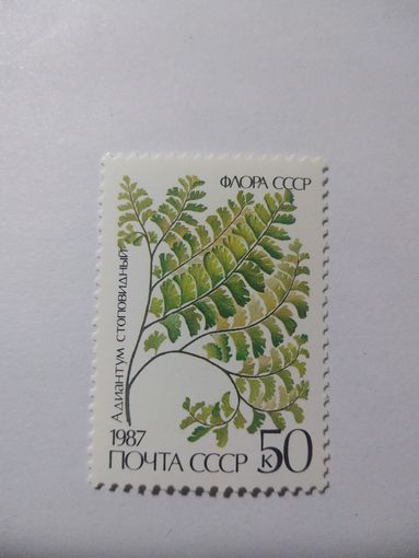 СССР 1987 ПАПОРОТНИКИ АДИАНТУМ СТОПОВИДНЫЙ