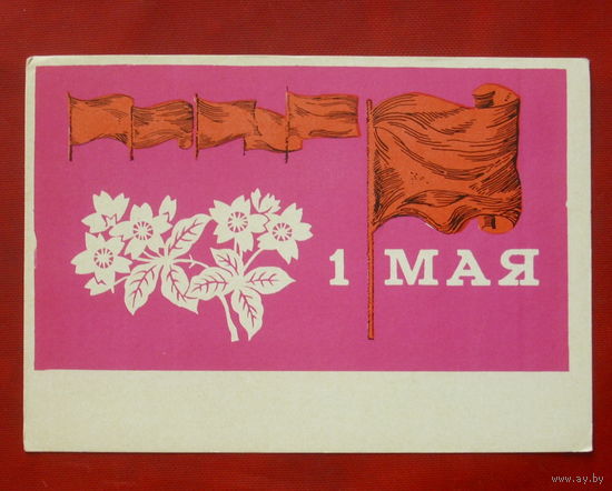 1 мая! Чистая. 1969 года. Дубовицкая. 255.