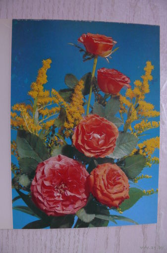 Дергилев И., Розы; 1990, 1991, двойная, чистая.