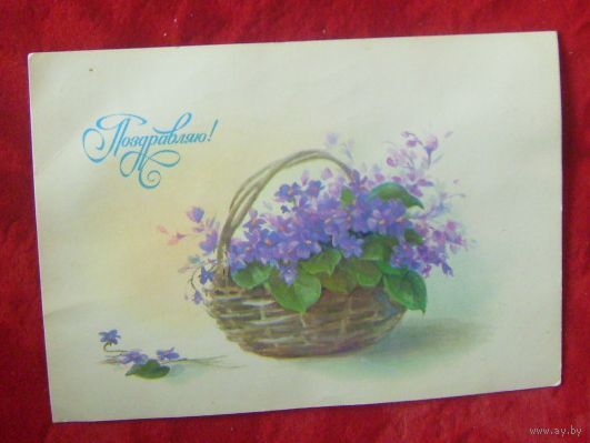 Поздравляю(худ.О.Коробова)