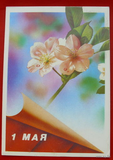 1 Мая! Подписанная. 1989 года. Жомков. # 31.