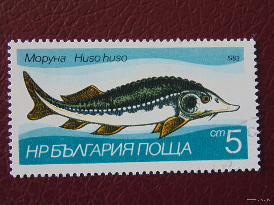Болгария 1983 г.