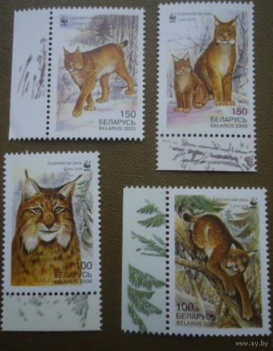 Беларусь 2000 Рысь Фауна Кошки **
