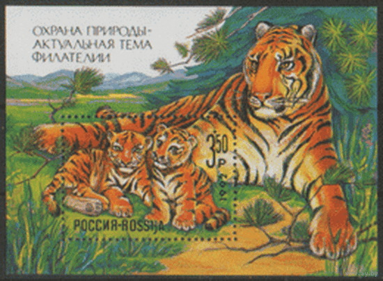 РФ. СК. БЛОК 1. 1992. Тигрица с тигрятами. ГаШ.