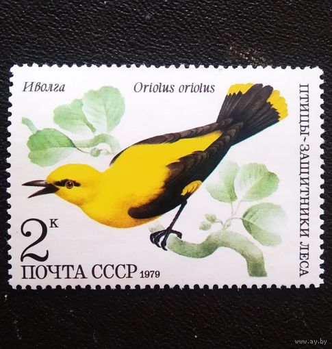 Марка СССР 1979 год Птицы