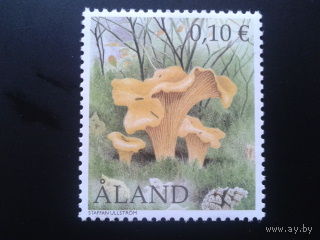 Аланды 2003 лисички