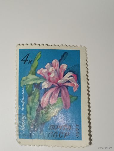 Марка СССР 1971 год Цветы