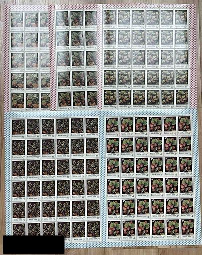 СССР.1982, март. Дикорастущие ягоды.ПОЛНАЯ ЧИСТАЯ СЕРИЯ В ЛИСТАХ.