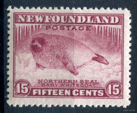 Британские колонии - Ньюфаундленд - 1932/41г. - тюлень, перфорация 14, 15 с - 1 марка - MNH, на клее есть несколько небольших полосок-трещинок [Mi 180 E]. #3-WB-96-A-1