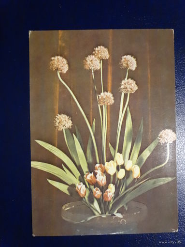 Композиция из цветов.  1973 г.  подписанная.
