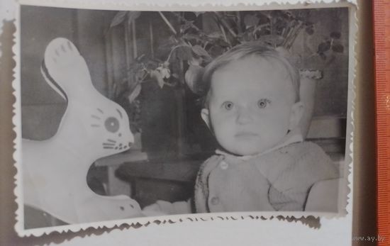 Фото в коллекцию