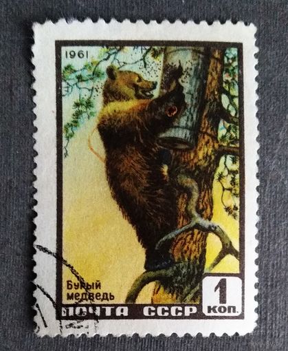 Марка СССР 1961 год Медведь