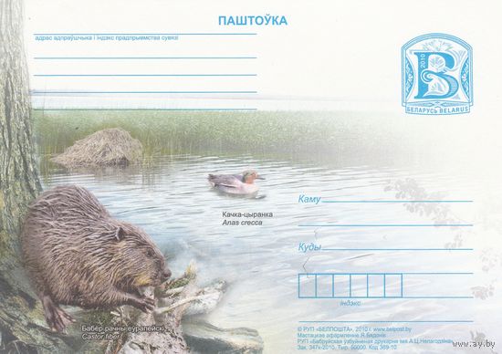 Беларусь 2010 ПК Чирок-свистунок. Речной бобр (к5)