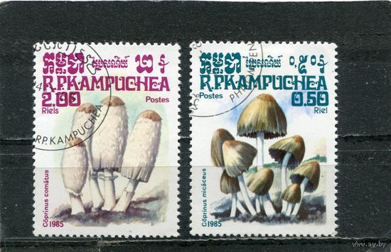Кампучия. Грибы